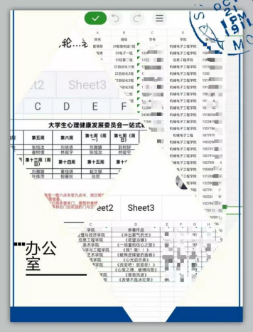 24631